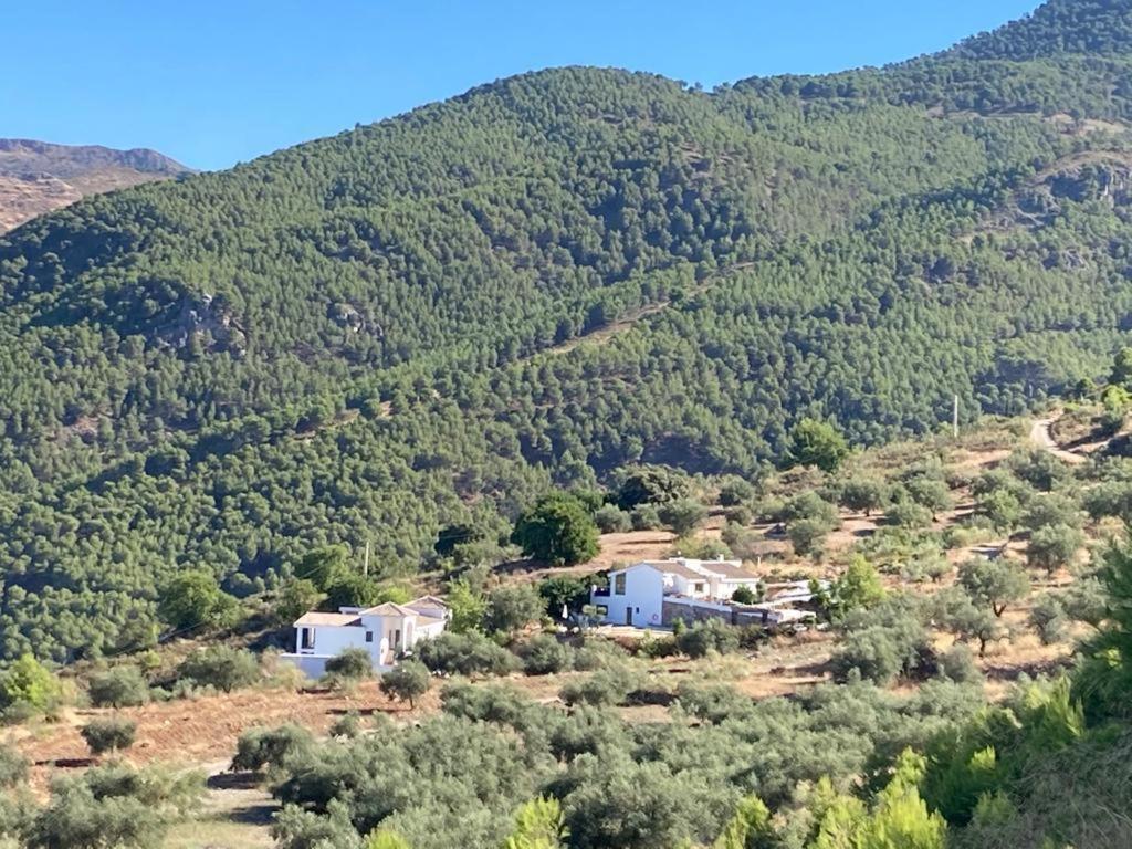 Apartamento La Fuente Alcaucin Alcaucín Exterior foto
